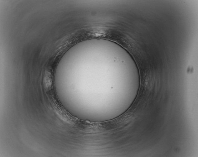 X0000111451442200907201037