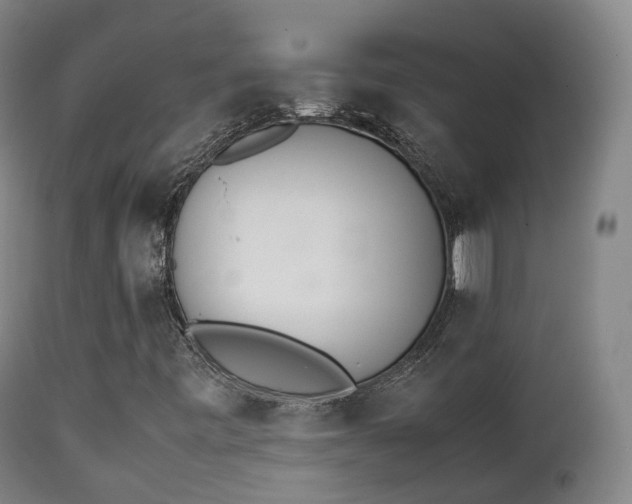 X0000111451443200907201037