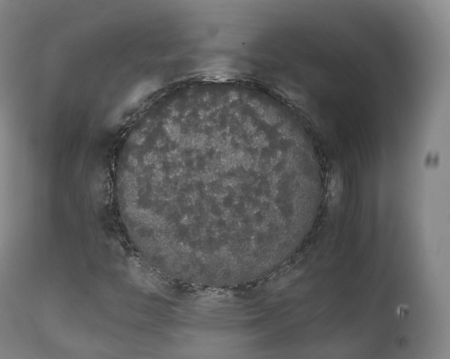 X0000111451446200907201037