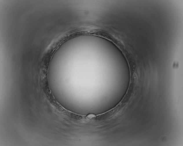 X0000111451447200907201037