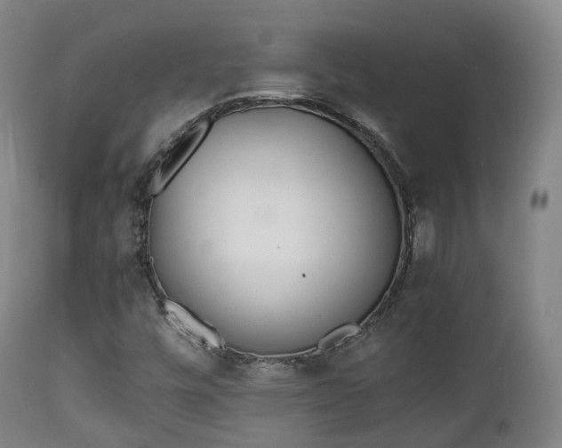 X0000111451448200907201037