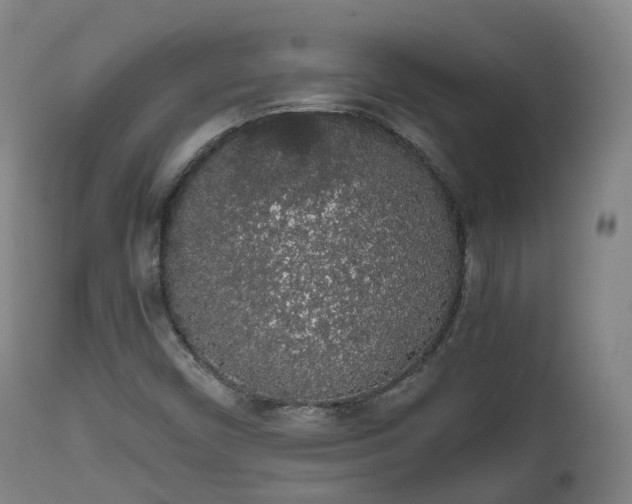 X0000111451450200907201037