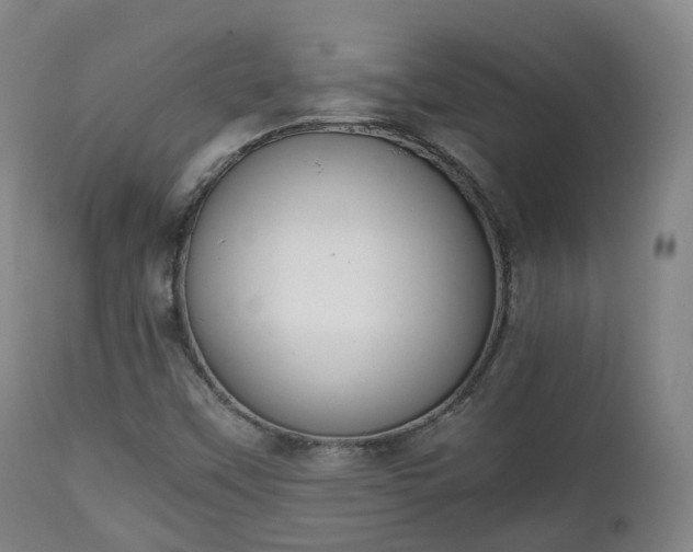 X0000111451451200907201037