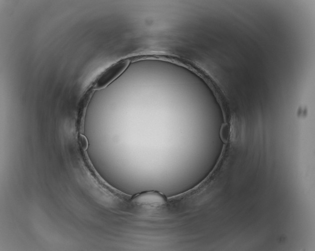 X0000111451452200907201037