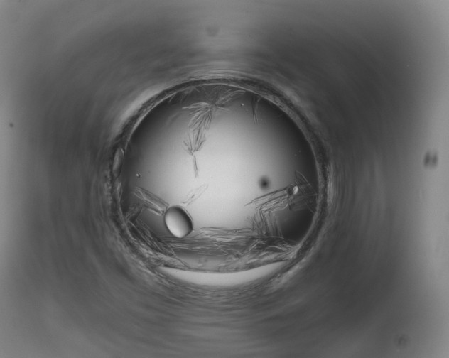 X0000111451453200907201037