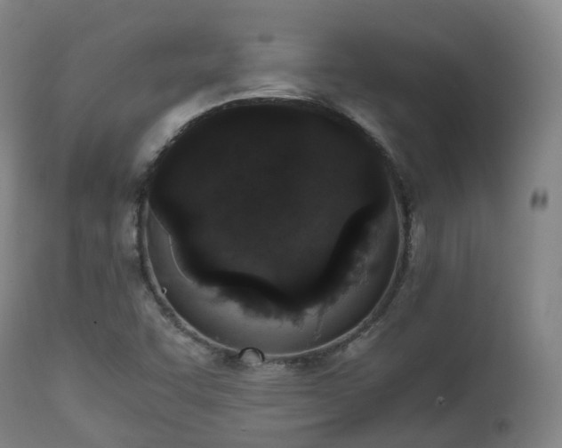 X0000111451455200907201037