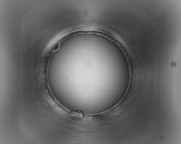 X0000111451456200907201037