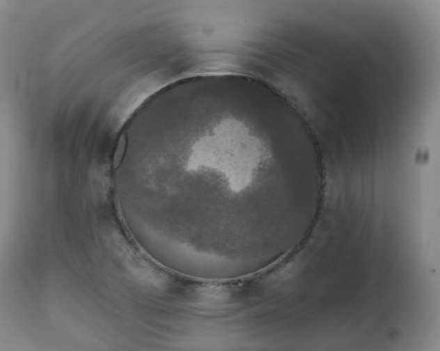 X0000111451457200907201037