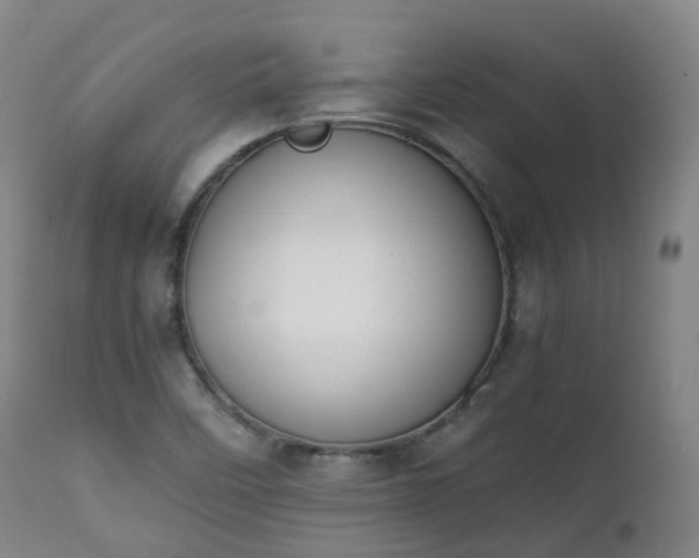 X0000111451458200907201037