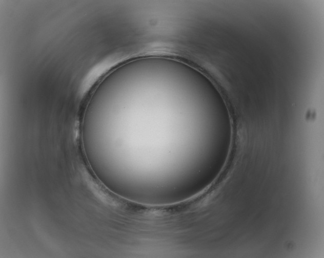 X0000111451461200907201037