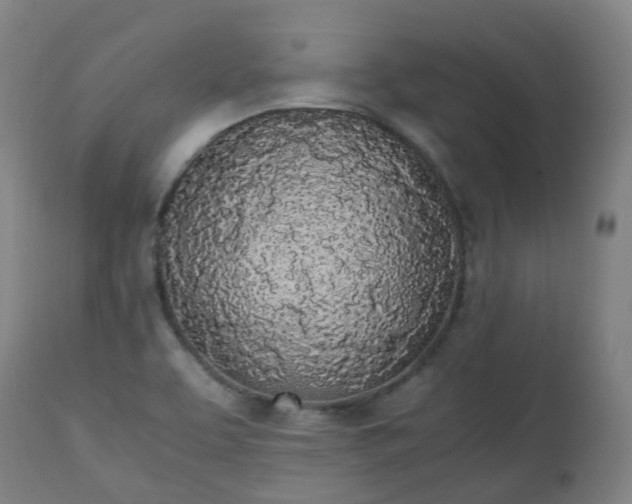 X0000111451463200907201037
