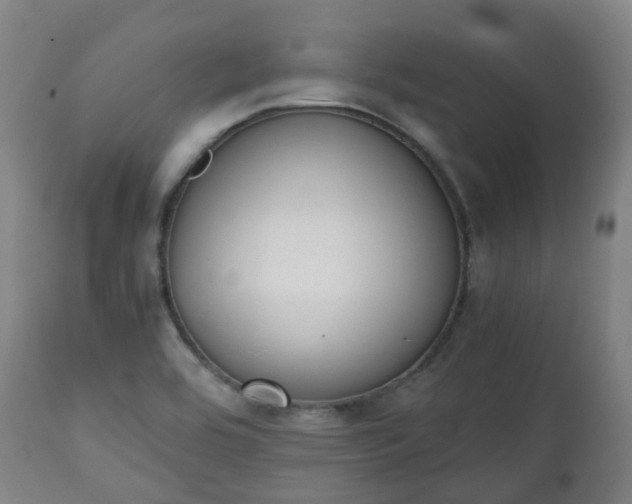 X0000111451464200907201037