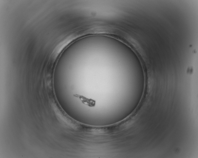 X0000111451465200907201037