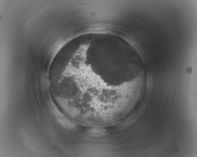 X0000111451466200907201037