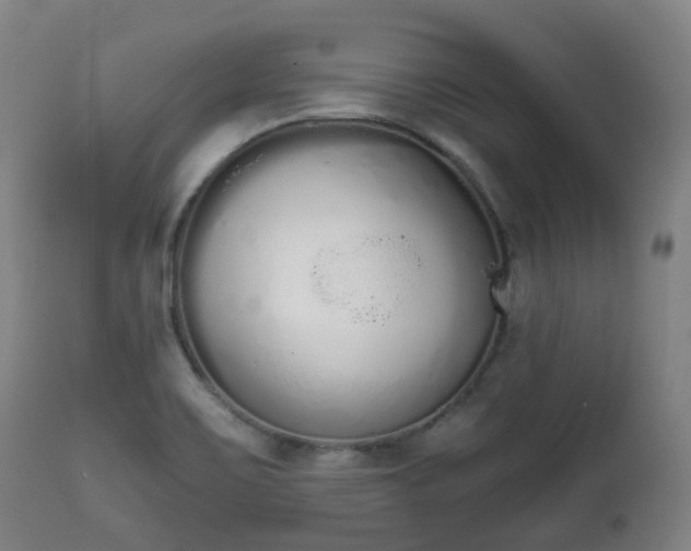 X0000111451467200907201037