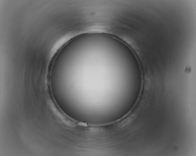 X0000111451469200907201037