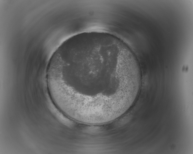 X0000111451470200907201037