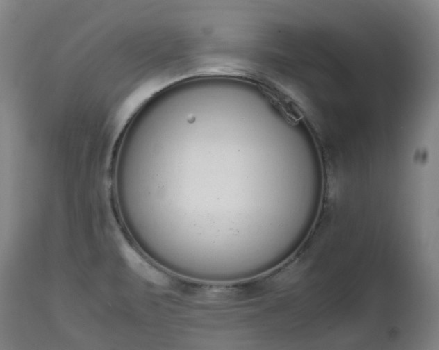X0000111451471200907201037