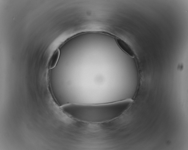 X0000111451472200907201037