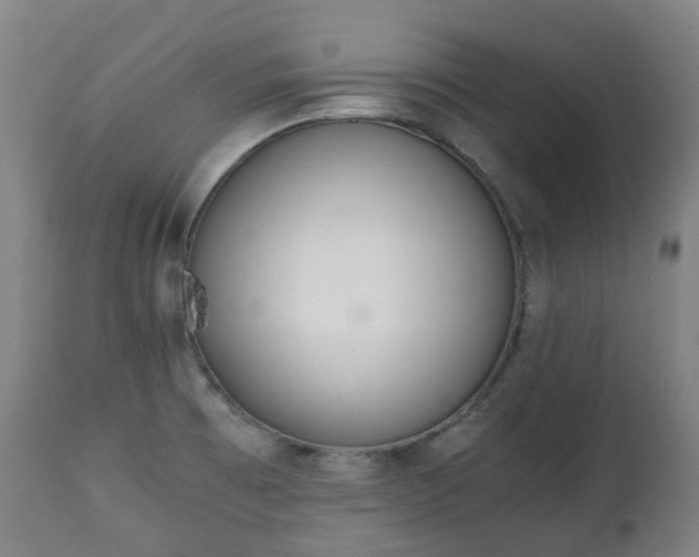 X0000111451473200907201037