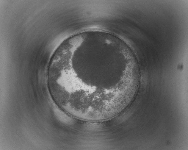 X0000111451474200907201037