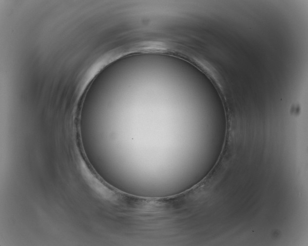 X0000111451475200907201037