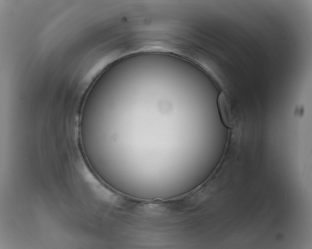 X0000111451476200907201037