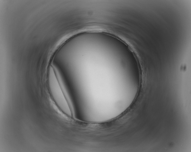 X0000111451477200907201037