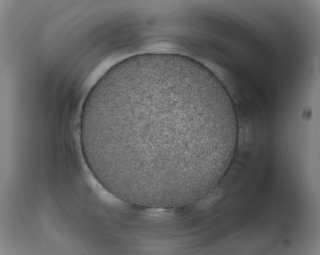 X0000111451478200907201037