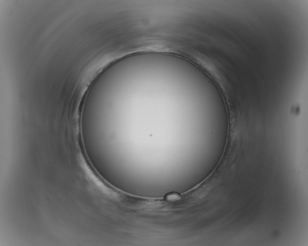 X0000111451479200907201037