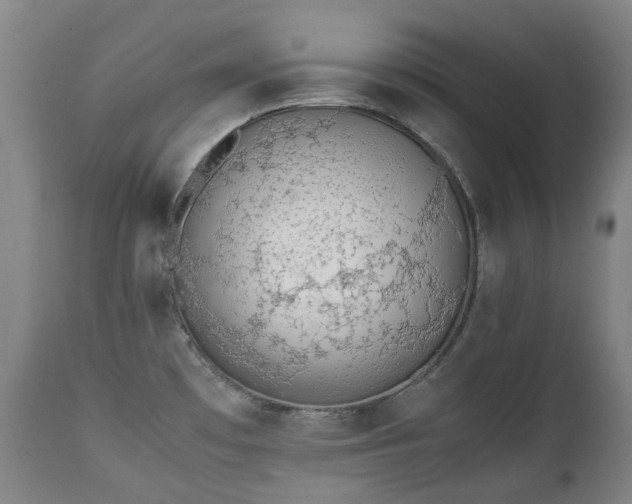 X0000111451481200907201037