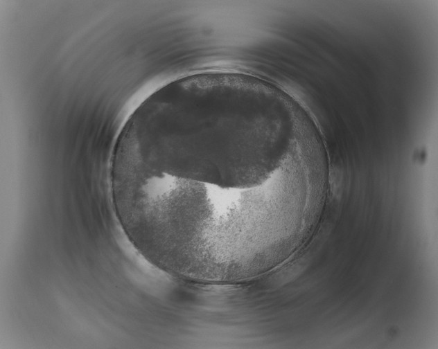 X0000111451482200907201037