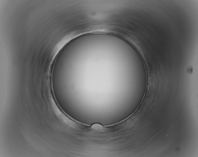 X0000111451483200907201037