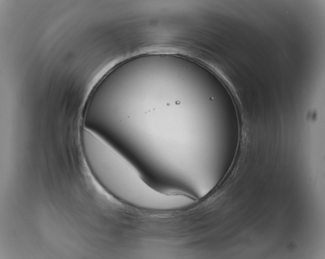 X0000111451484200907201037