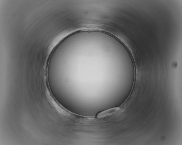 X0000111451485200907201037