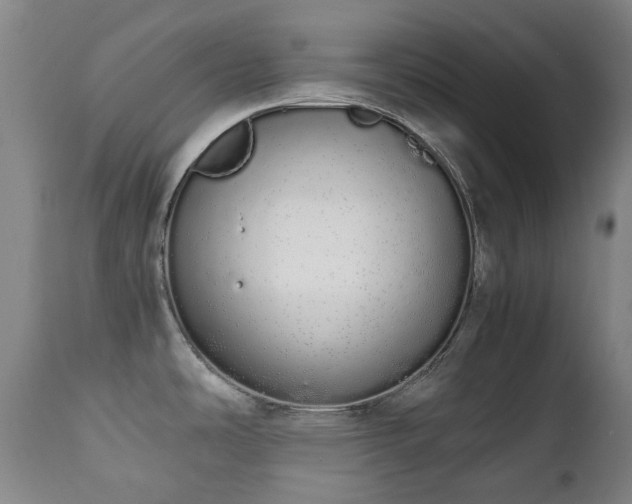 X0000111451486200907201037