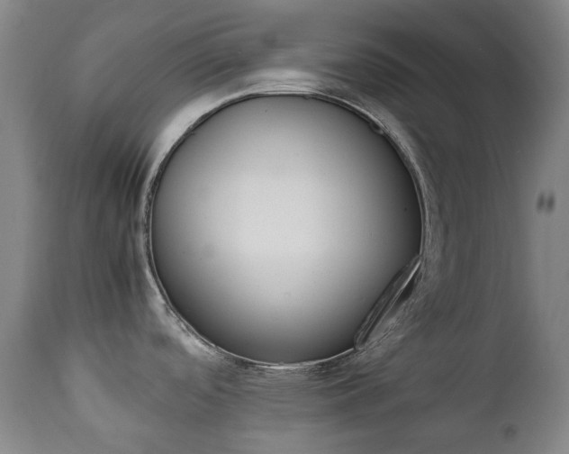X0000111451488200907201037