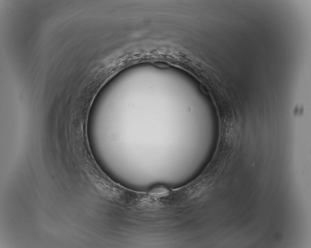 X0000111451489200907201036