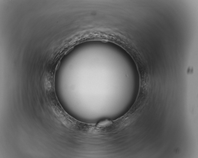 X0000111451490200907201036