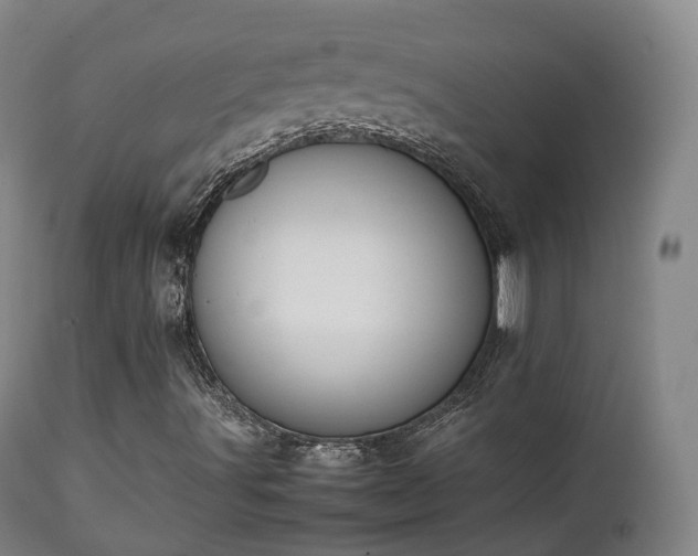 X0000111451491200907201036