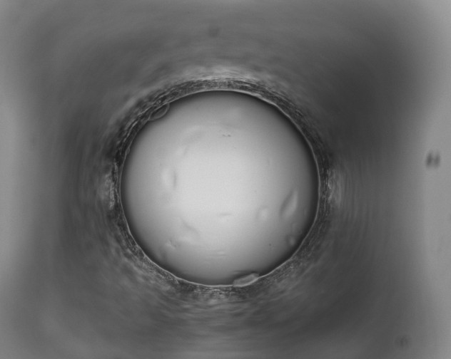 X0000111451493200907201036