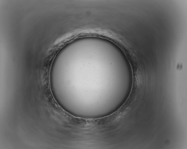 X0000111451494200907201036