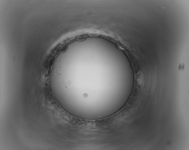 X0000111451495200907201036
