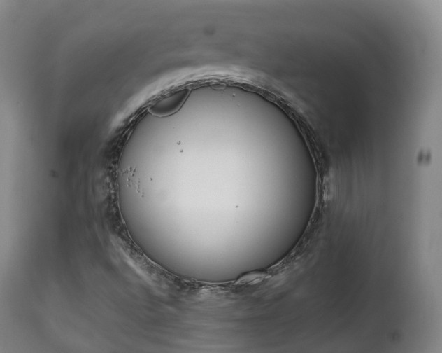 X0000111451496200907201036