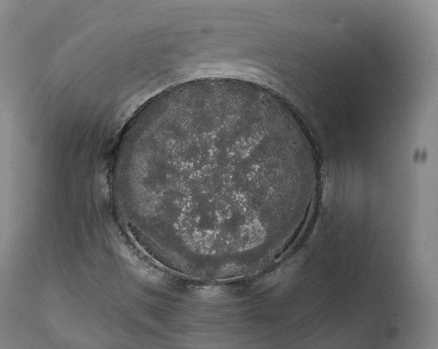 X0000111451497200907201036