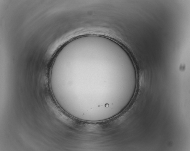X0000111451498200907201036