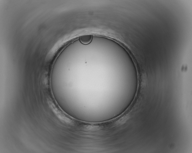 X0000111451499200907201036