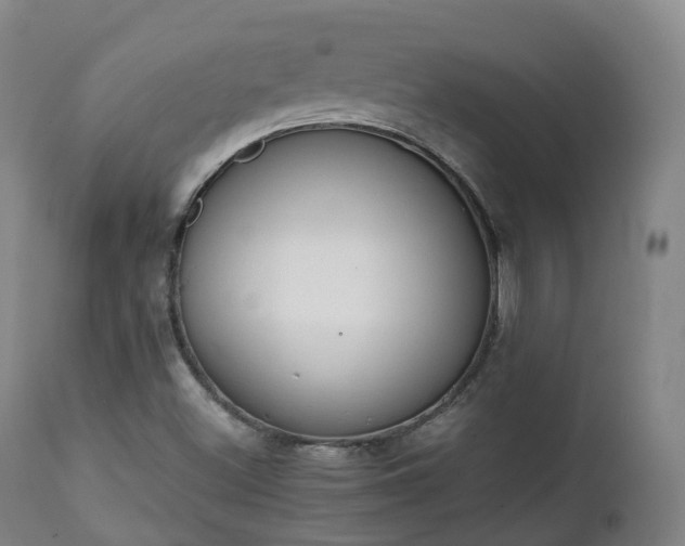 X0000111451500200907201036