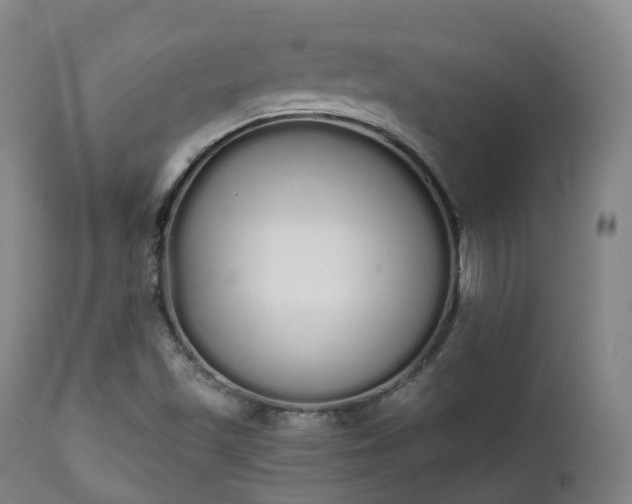 X0000111451501200907201036