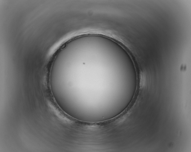 X0000111451502200907201036